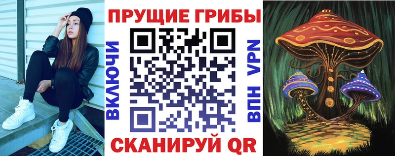 Псилоцибиновые грибы Cubensis  Купить  Собинка 