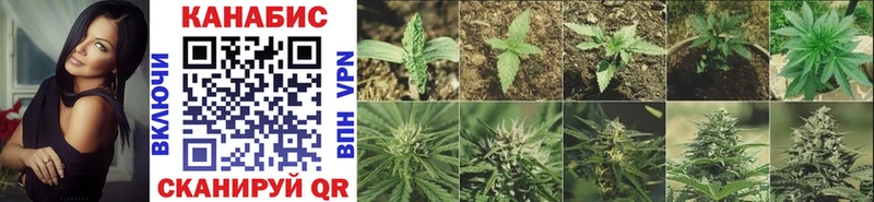 Купить где  Собинка  МАРИХУАНА THC 21% 